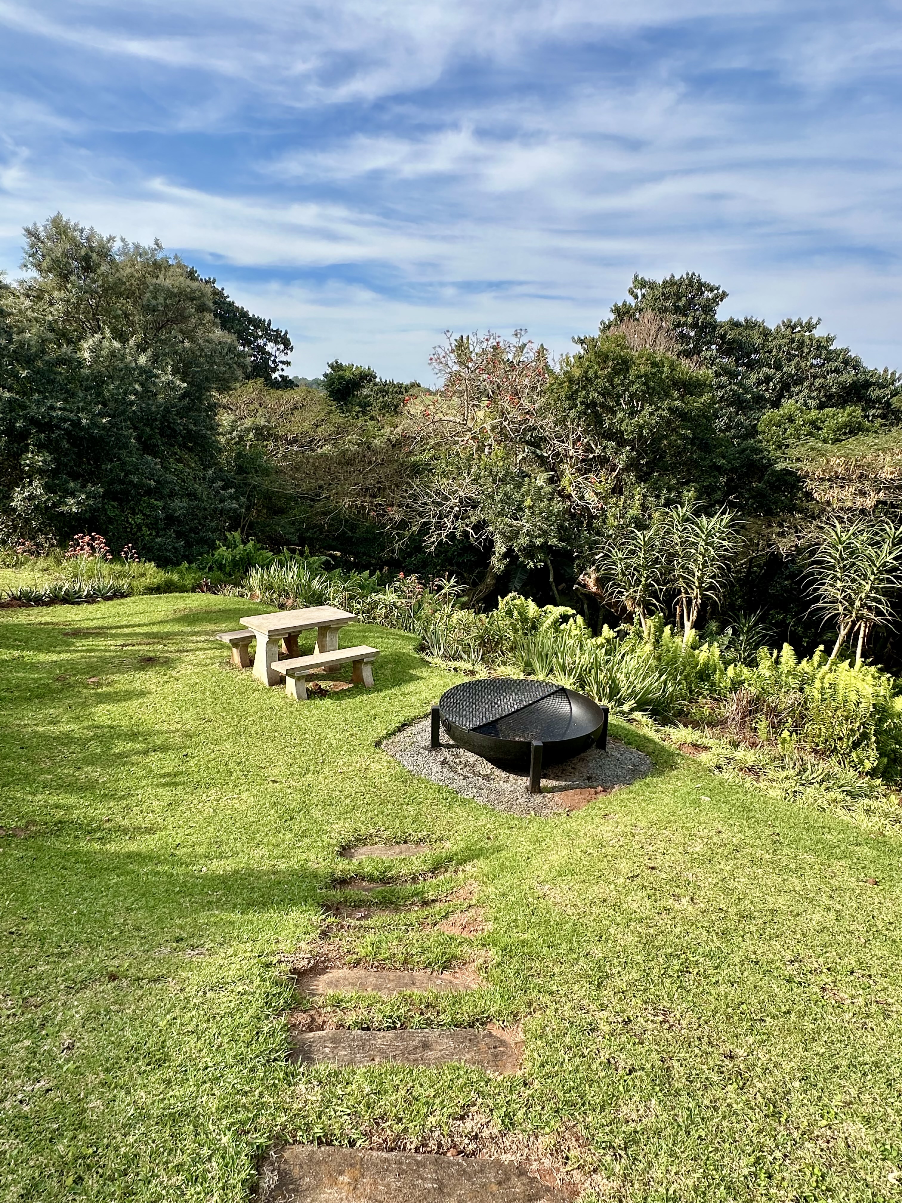 Pool and outdoor area