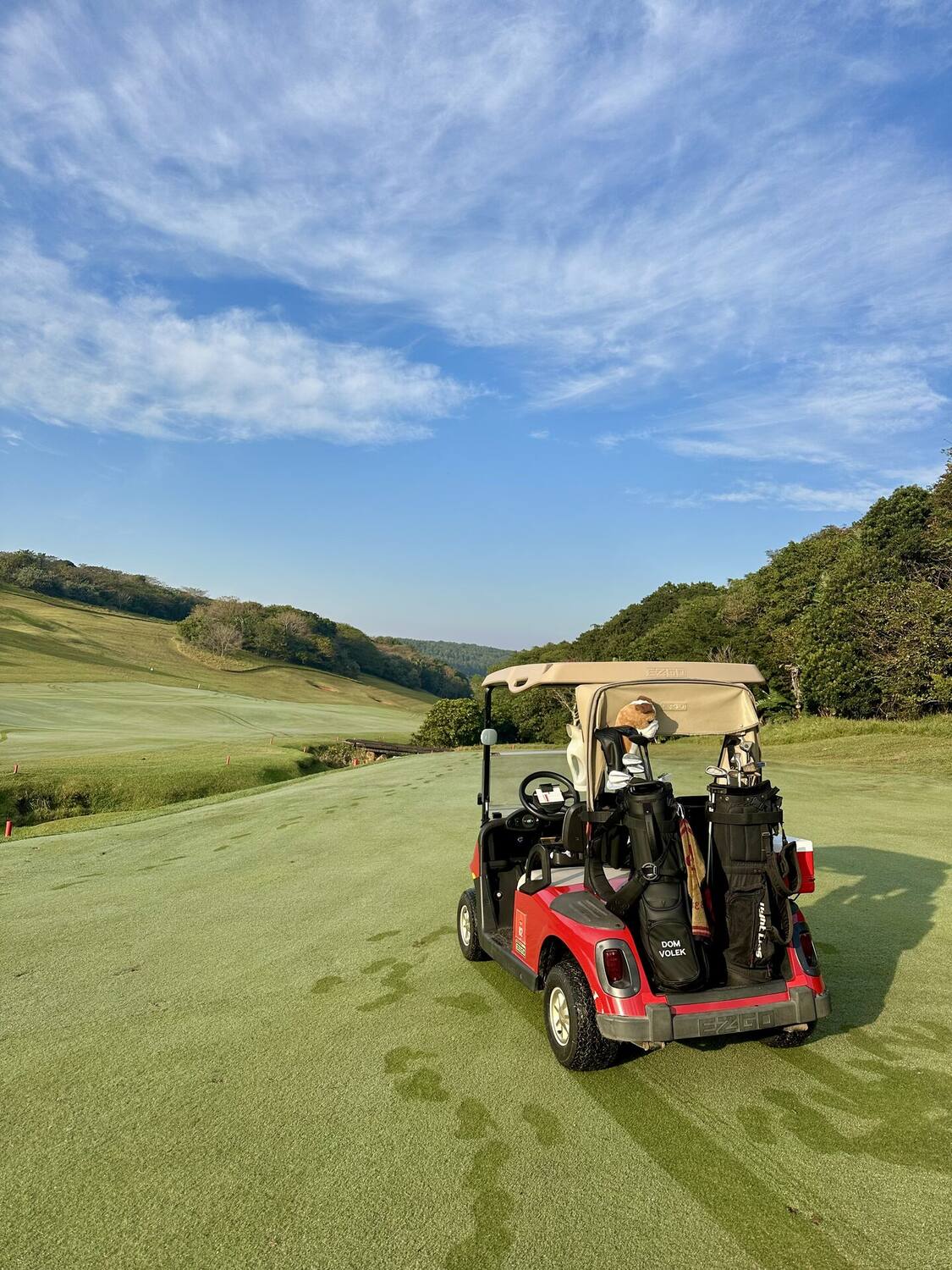 Golf cart with bags on the fairway — morning round