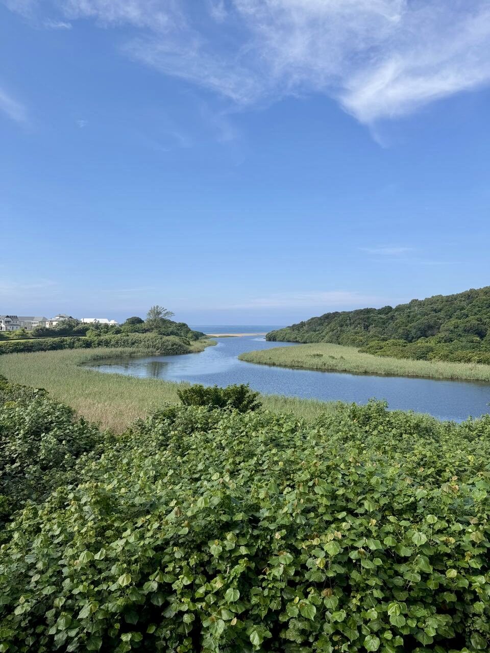 Estate lagoon and nature reserve