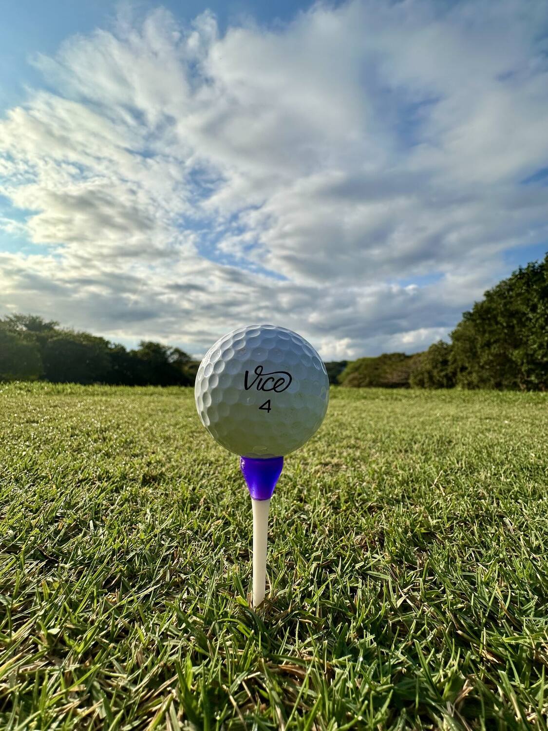 Golf ball on the tee — Prince's Grant Golf Course